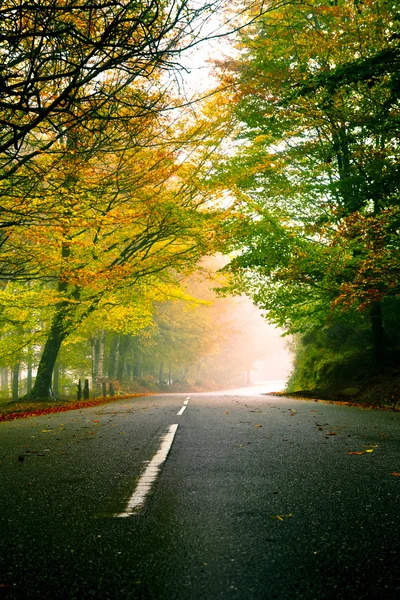 Renkli Ağaçlar Olan Güzel Yol Sonbahar Yatay — Stok fotoğraf