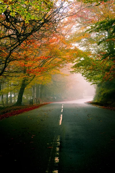 Paisagem Outono Com Uma Bela Estrada Com Árvores Coloridas — Fotografia de Stock