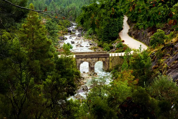 stock image Beautiful landscape view of a mountain river with green trees