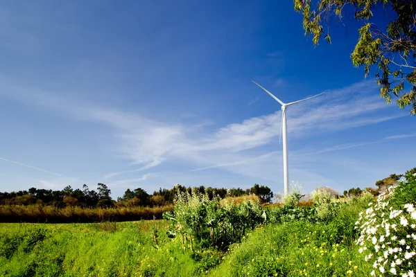 Turbina Eólica Belo Prado Verde Conceito Energia — Fotografia de Stock