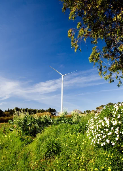 美しい緑の牧草地 エネルギー概念の風力タービン — ストック写真