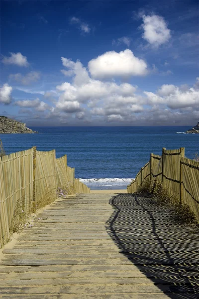 Sentiero per la spiaggia — Foto Stock