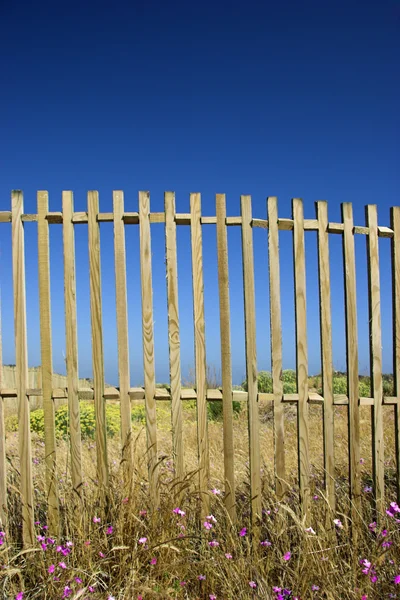 Beautiful Wood Fences Great Blue Sky — Stock Photo, Image