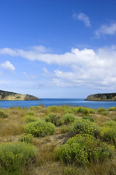 美丽的蓝色湾与沙丘中的绿色灌木 — 图库照片