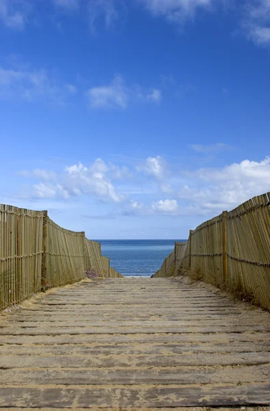 Sentiero per la spiaggia — Foto Stock