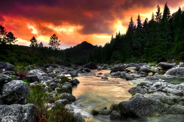 Прекрасний Вид Гірську Річку Заході Сонця Стокове Зображення
