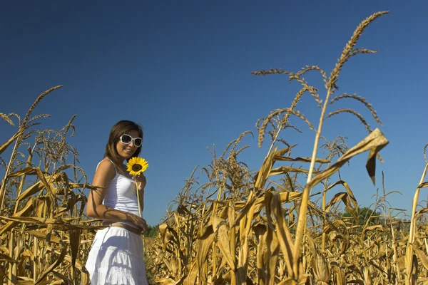 Sunflower woman — Stock Photo, Image