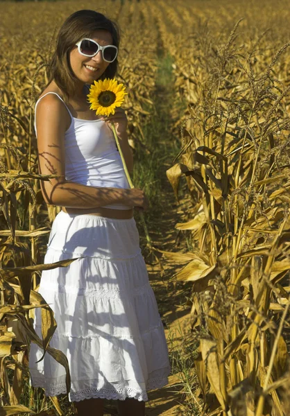 Slunečnice žena — Stock fotografie