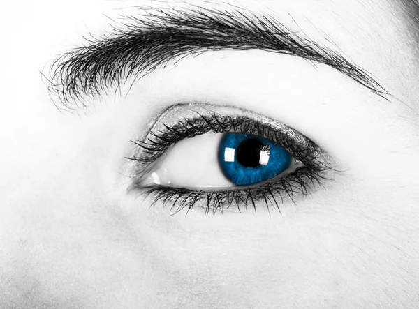 푸른 눈 — 스톡 사진