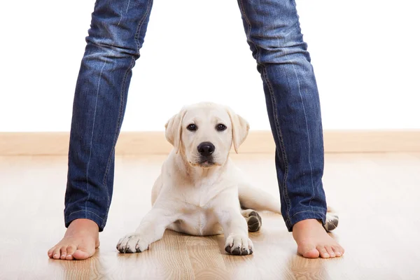 足の下のかわいい pupie — ストック写真