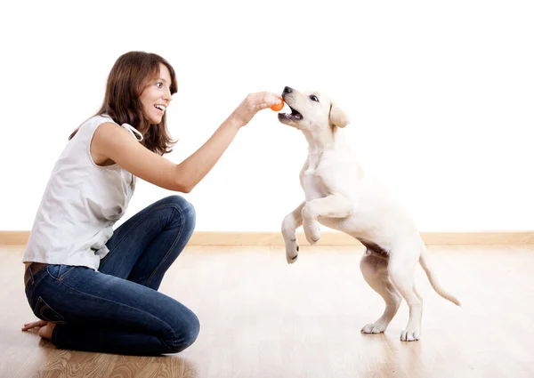 Brincando com um cachorro — Fotografia de Stock