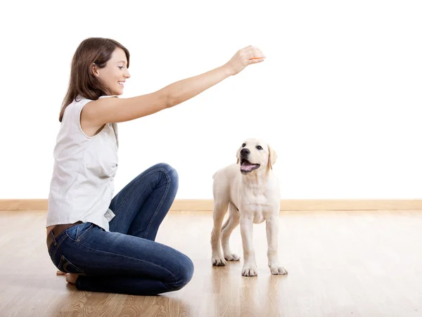 Brincando com um cachorro — Fotografia de Stock