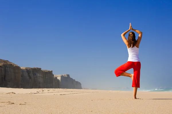 Junge Frau macht Yoga lizenzfreie Stockbilder