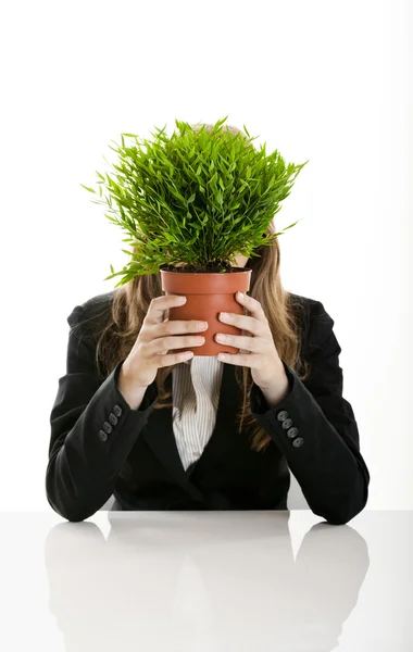 Affärskvinna som innehar en vas med en växt — 图库照片