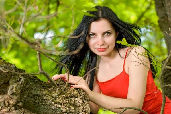 Mujer joven en el árbol — Foto de Stock