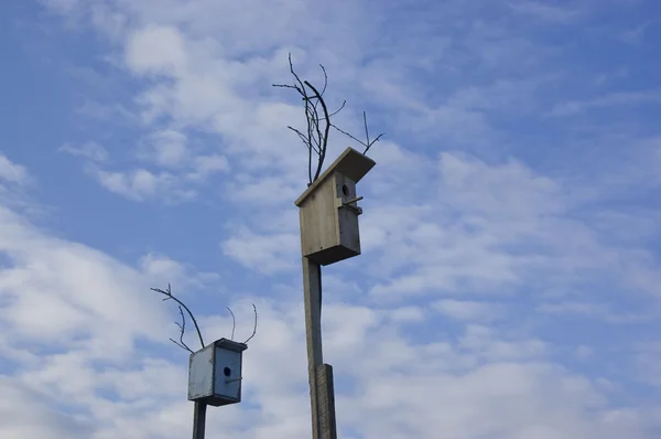 Stock image Birdhouses