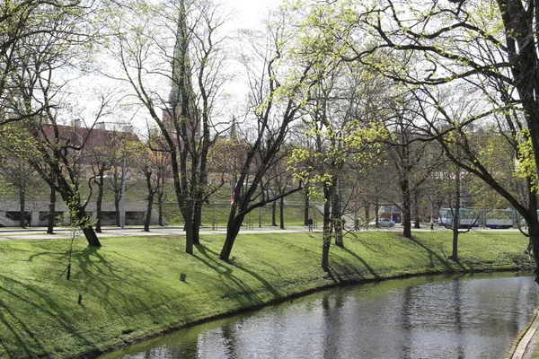 stock image City architecture of Riga in Latvia. Eur