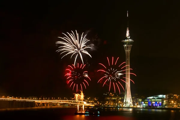Fireworks Display Contest — Stock Photo, Image