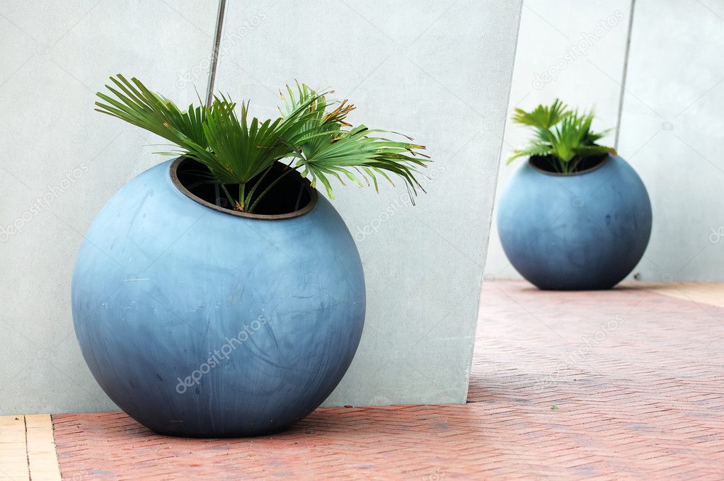 Large plant pots — Stock Photo © ti_to_tito 2858377