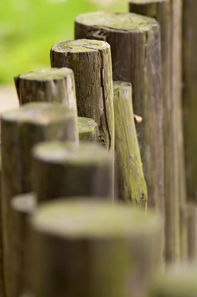 Линия деревянных балок — стоковое фото