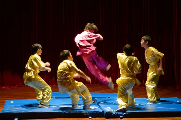 Kinesisk kung fu — Stockfoto