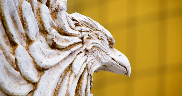 Stäng av carving eagle — Stockfoto