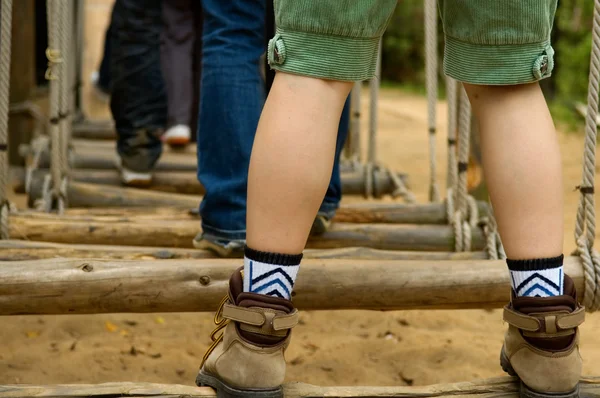 stock image Walking swing woods