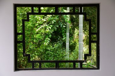 Bamboo and window