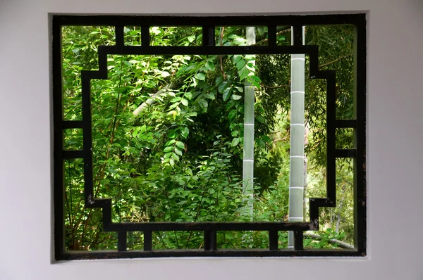 Бамбук и окно — стоковое фото