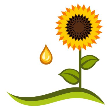 Sunflower clipart