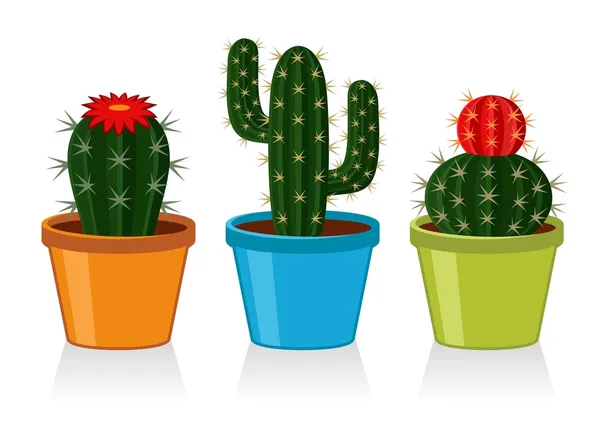 Vetores de Planta De Cactos Do Deserto Ilustração De Vetor De Desenho  Animado Isolado Em Branco e mais imagens de Cacto - iStock