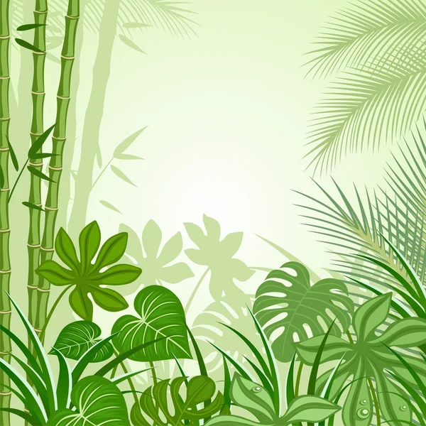 Tropiques — Image vectorielle