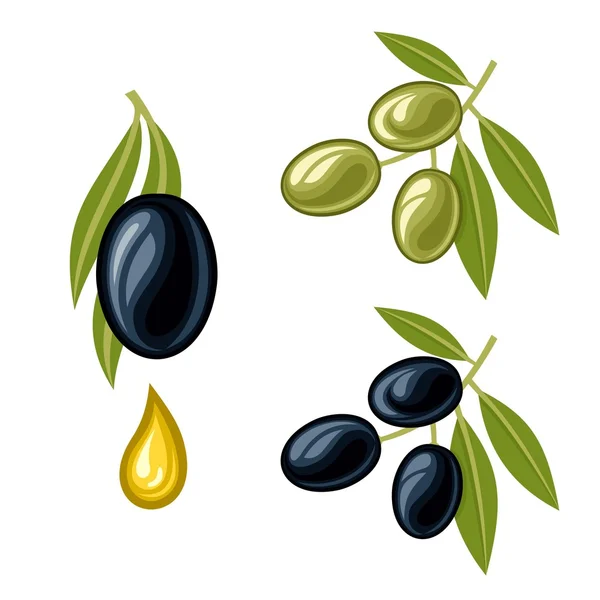 stock vector Olives