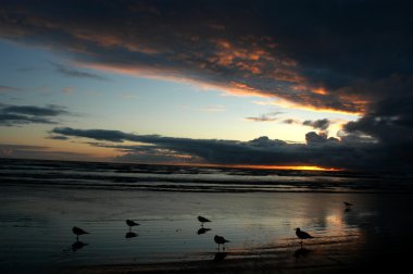 Washington sunset - Ocean Shores clipart