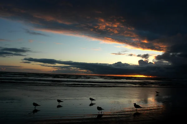 Washington sunset - Ocean Shores — Stock Photo, Image