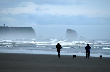 Runners on Washington Coast clipart