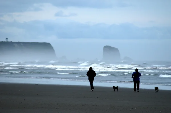 stock image Runners on Washington Coast