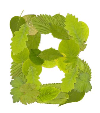 Green leaf letter clipart