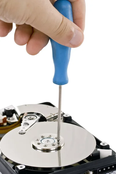 Affichage du disque dur, réparation — Photo