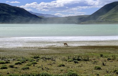 Laguna Amarga