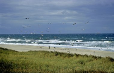 Stormy weather at beach, Sylt, Germany clipart