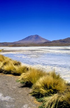 Laguna Hedionda