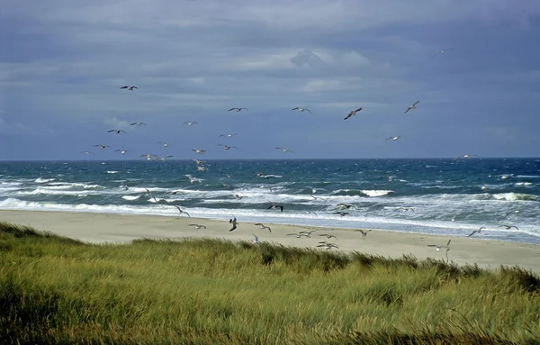 暴风雨的天气在海滩、 叙尔特岛、 德国 — 图库照片