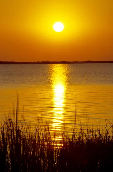 stock image Sunset in the Esteros del Ibara