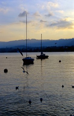 Dawn at lake Zurich clipart