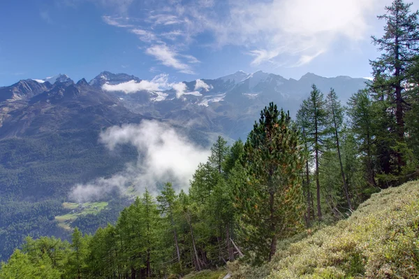 Beautiful morning in the Valais — Stock Photo, Image