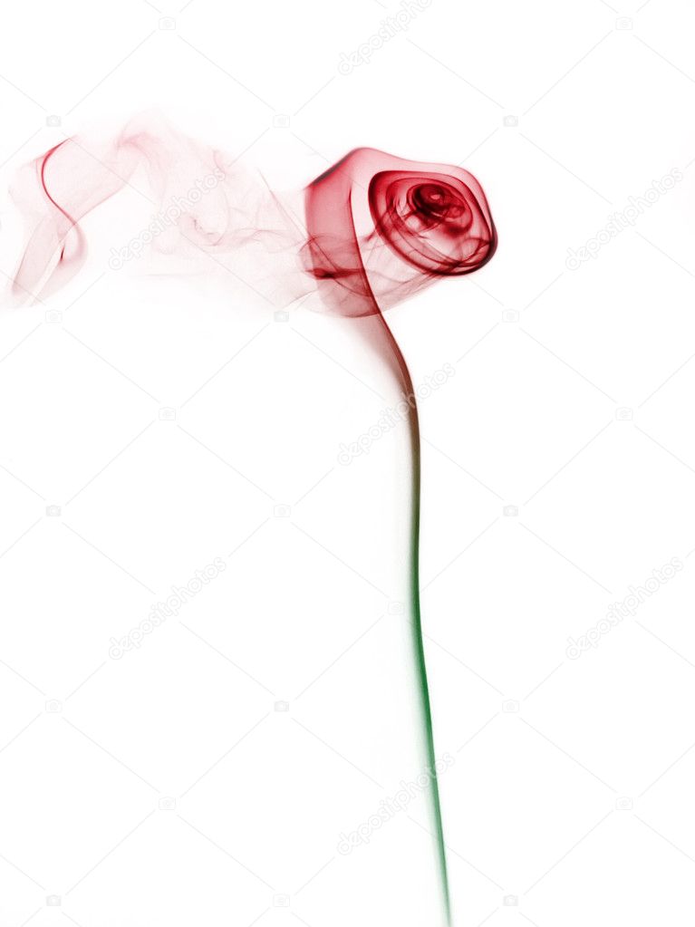 Rose in smoke