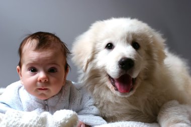 Baby and puppy clipart