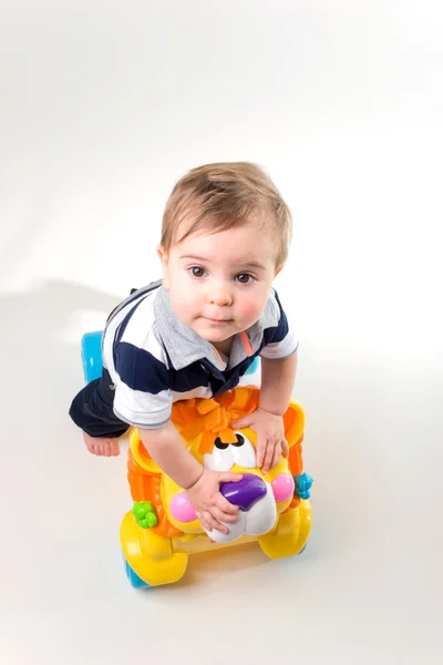 1 éves babaBoróka-fehér alapon — 스톡 사진