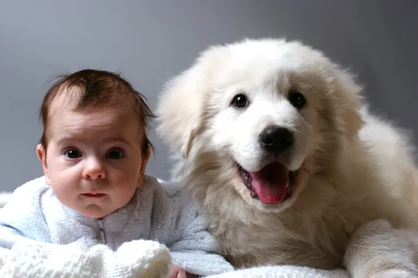 Младенец и щенок — стоковое фото